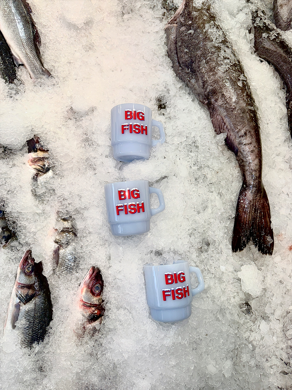 Big Fish Ice Mug